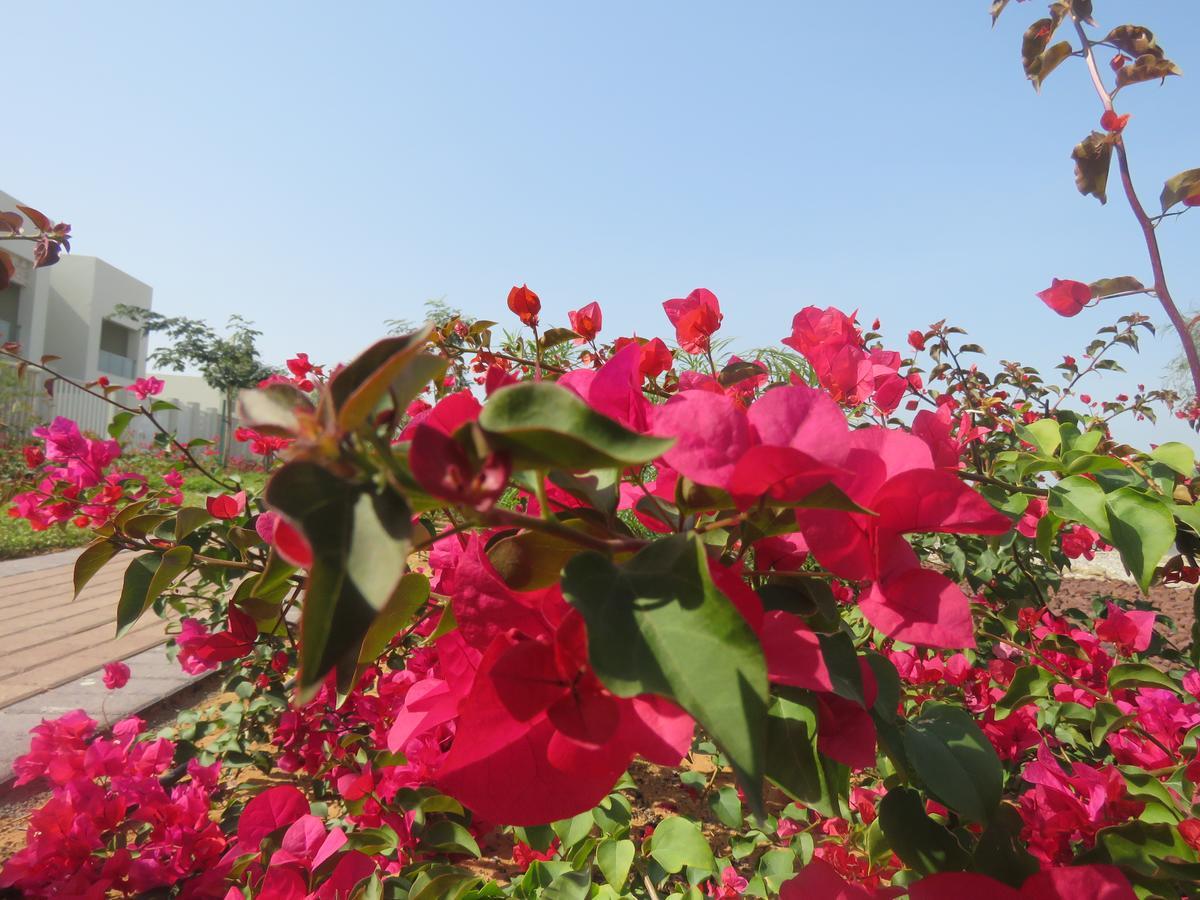 Bermuda Villas Holiday Home ราสอัลไคมาห์ ห้อง รูปภาพ